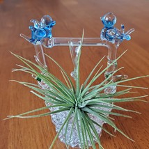 Live Air Plant in Hand Spun Wishing Well Holder, Blue Birds, Airplant Planter image 5