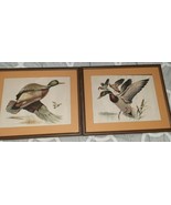 Pair of Mallard Ducks by Signed RF Harnett, Matted and Wood Framed Litho... - $120.00