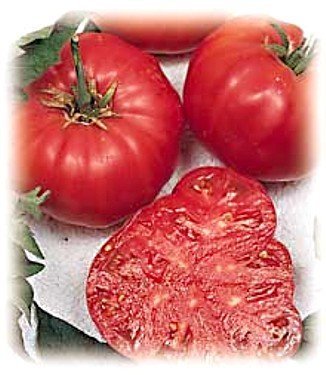 Tomatoes, Beefsteak Tomato 25 Seeds - Impressive!,Organic, Non-GMO, USA Product.