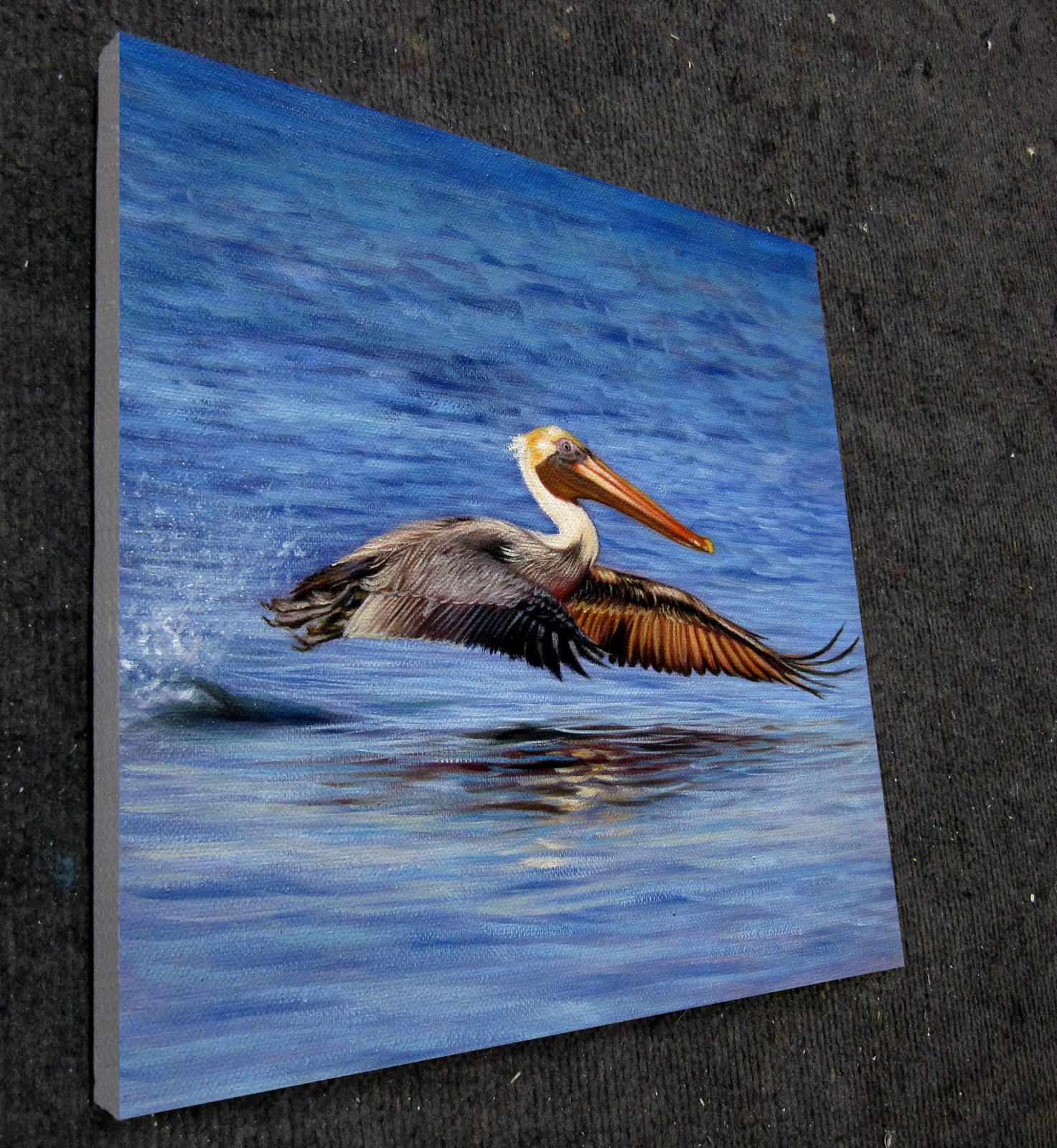 Pelican 16x16 in. stretched Oil Painting Canvas Art Wall Decor 