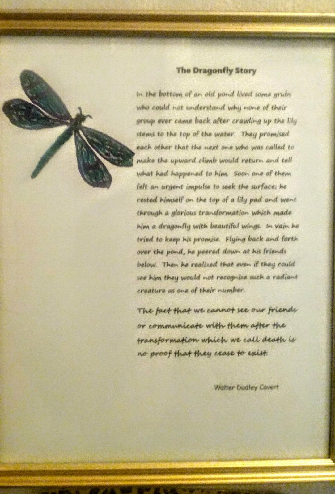 Dragonfly Story Printable Printable Word Searches