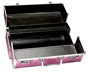 lockable toy case