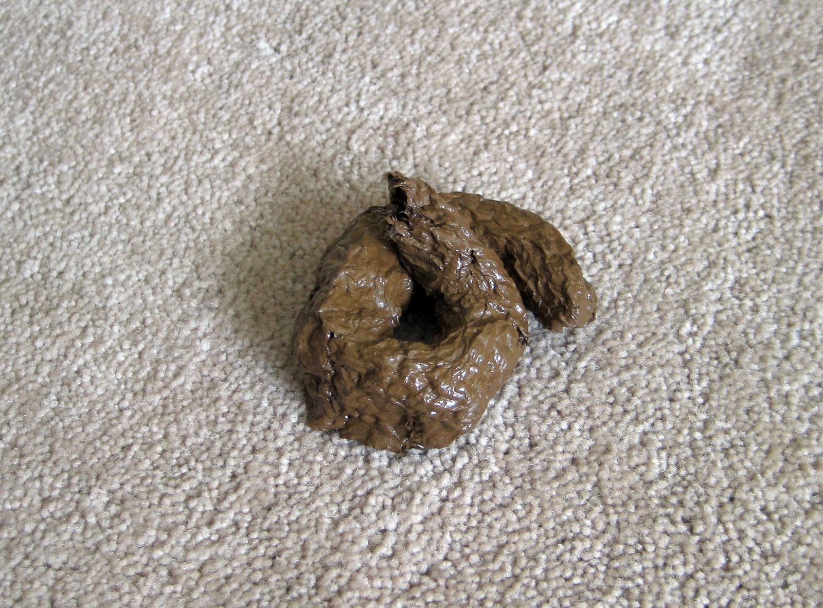 Fake Dog Poop Pooper Scoopers & Bags