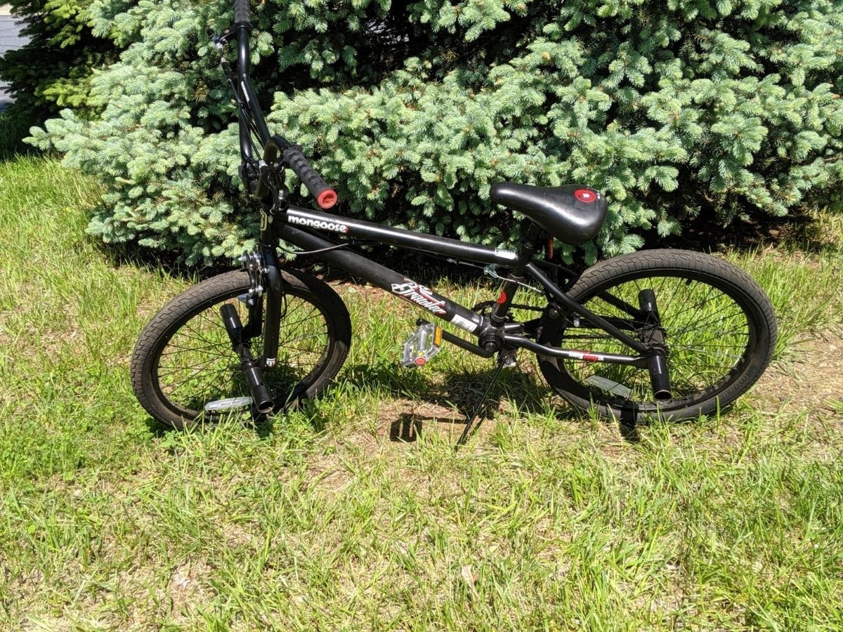 mongoose brawler pro