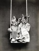 Swinging - Cats - Kittens - 1914 - Animal Photo Magnet - $11.99