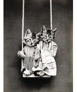 Swinging - Cats - Kittens - 1914 - Animal Photo Magnet - $11.99