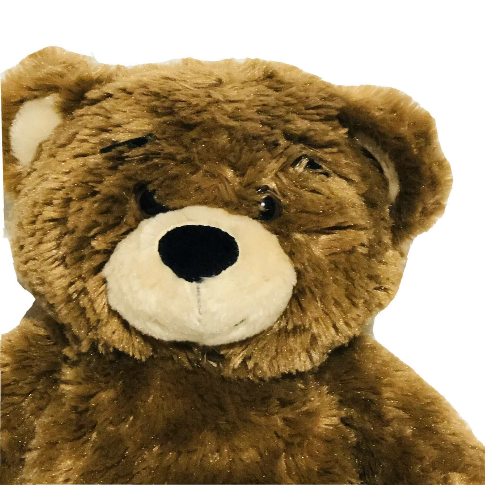 Build A Bear Workshop Plush Bearemy Teddy and 50 similar items