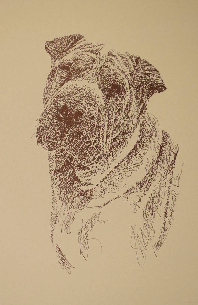 SHAR PEI DOG ART #34 Stephen Kline adds your dogs name free into print. HOT GIFT