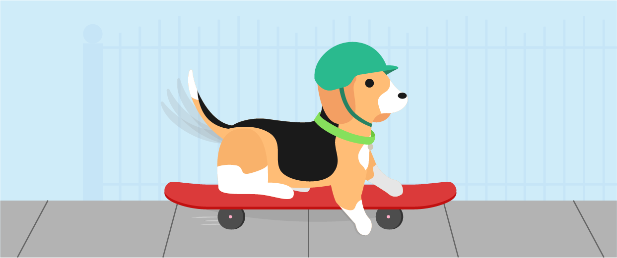 image of dog in helmet riding skateboard