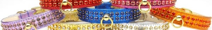 Metallic_2_rows_crystal_collars_.75_inch_thumb960