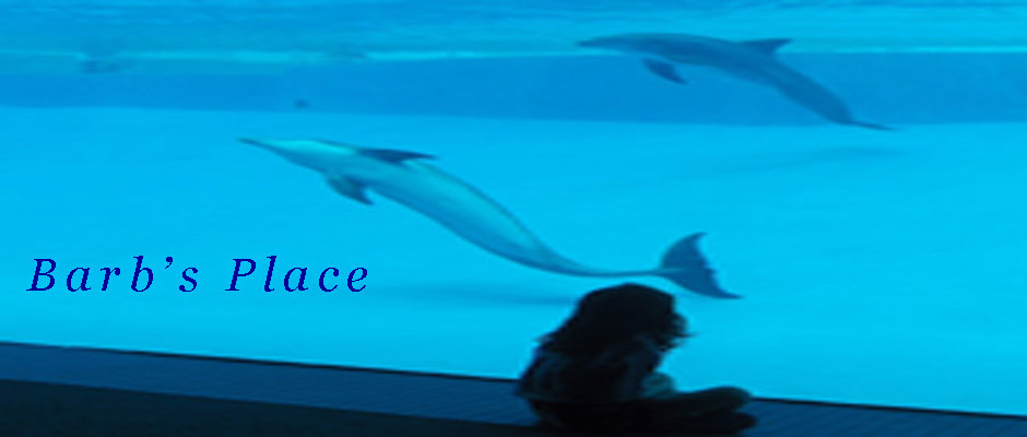 Dolphin_bonz_avatar_thumb960
