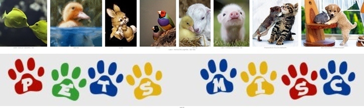 Pets_large_thumb960
