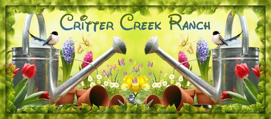Critterfinalbanner2_thumb960