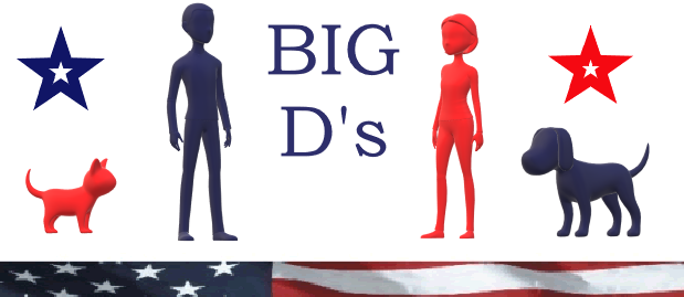 A welcome banner for Big D's-Barber Hairstylist,Pet Grooming Supplies,Flags,Bandanas,Doo Rags + More 