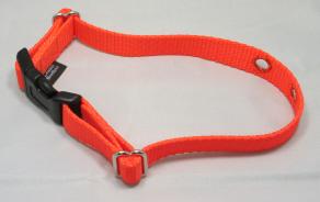 Neon Orange Nylon Replacement Dog Collar