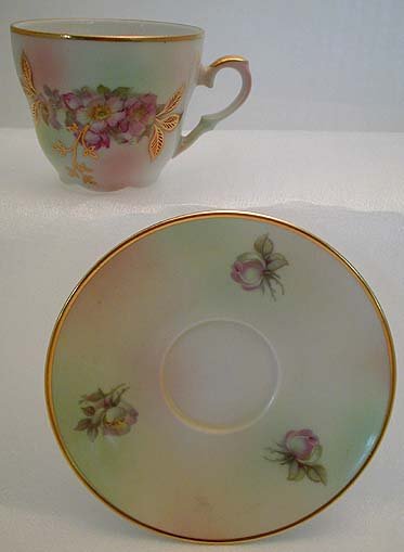 detailed teacup & saucer view of Carl Schumann Barvarian Rose Fine China Demitasse TEA CUP SET 