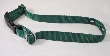 Green Nylon Replacement Dog Collar