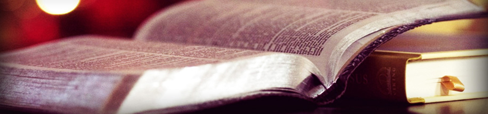 A welcome banner for Farmhouse Books