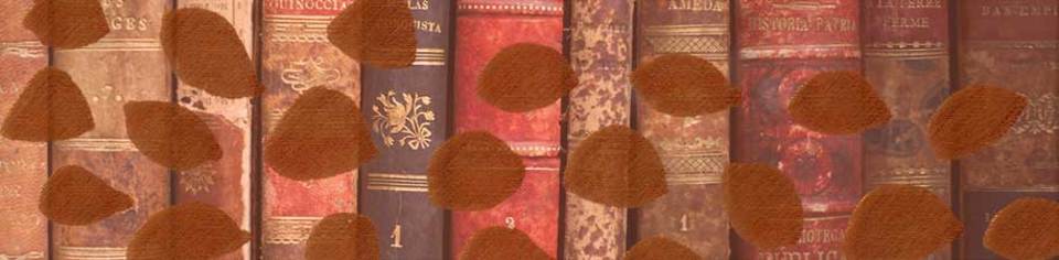A welcome banner for Books, Books and More!