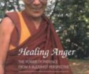 Dalai Lama Healing Anger: The Power of Patience from a Buddhist Perspective, an item from the 'Self Care for Tough Days' hand-picked list