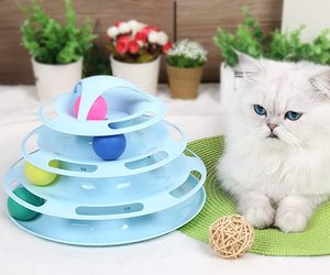 BYPP pet toys Cat Toys for Indoor Cats 4 Level Roller Cats Toy with Moving Balls, an item from the 'Love is a four-legged word' hand-picked list