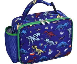 Dinosaur Lunch Bag - Dinosaur S Lunch Box For Boys Kids Daycare Presch, an item from the 'Keep Calm and Eat Lunch' hand-picked list