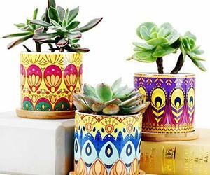 Pen Pot Desk or Flower Pot Succulent Plant Pots 3.15 Inch Round Cactus Set of 3, an item from the 'Pretty Planters' hand-picked list
