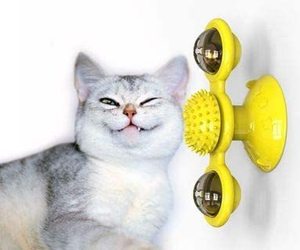  Interactive Cat Toy Windmill Portable Scratch Hair Brush Grooming Shedding Mass, an item from the 'The PURRfect Gift' hand-picked list
