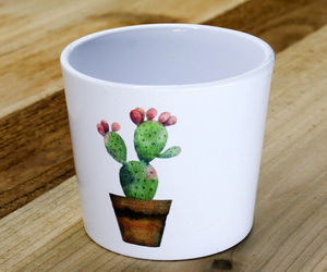 Indoor Garden 3-inch Ceramic Cactus Succulent Flower Planter Pot, an item from the 'Home is where my plants are' hand-picked list