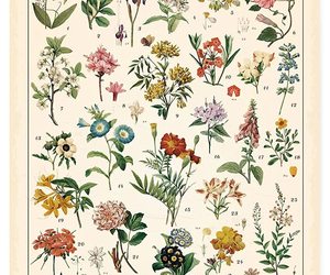 Vintage Wildflowers Poster Botanical Wall Art Prints Colorful Rustic Style of, an item from the 'Design your living space, your way' hand-picked list