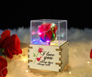 Valentines Day Gifts for Her Music Box Preserved Real Rose LED Music Box Birthda, an item from the 'My heart beats red for you' hand-picked list