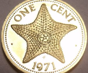 Rare Proof Bahamas 1971 Cent~Starfish~Only 31,000 Minted~Excellent~Free Shipping, an item from the 'Like Free Shipping?' hand-picked list