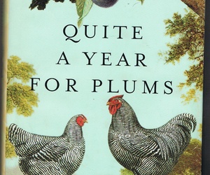 Hardbound Book Novel Quite a Year for Plums by Bailey White, an item from the 'Community Picks: A Great Read' hand-picked list