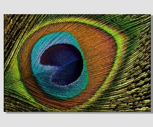 Peacock Feather Abstract Canvas Print Abstract Wall Art Peacock Print Abstract A, an item from the 'Pretty Peacocks' hand-picked list