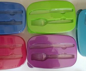 DIVIDED LUNCH CONTAINERS W FORK &amp; KNIFE &amp; LIDS 46.5 oz 1/Pk SELECT: Color, an item from the 'Winter Fun: Meal Prepping' hand-picked list