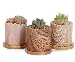 Greenaholics Succulent Pots - 3 Inch Wood Grain Cylinder Ceramic Planters for Sm, an item from the 'Pretty Planters' hand-picked list