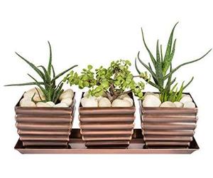 H Potter Herb Succulent Planter Plant Pots Window Sill with Tray Outdoor Indoor , an item from the 'Pretty Planters' hand-picked list