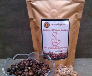 Genuine 100% pure Arabica Wild Civet Coffee Kopi Luwak Fresh Roasted Beans 100g, an item from the 'A friend with coffee is a friend indeed' hand-picked list