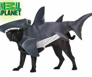 ANIMAL PLANET HAMMERHEAD SHARK DOG COSTUME 20107 VARIOUS SIZES BRAND NEW, an item from the 'Hand over your candy and no one gets licked' hand-picked list