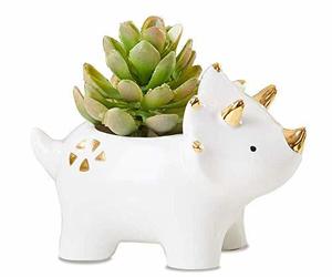 Dinosaur Ceramic Planter, Triceratop Flower Pot for Kids Room Decoration, Cute S, an item from the 'Pretty Planters' hand-picked list