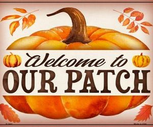 Welcome To Our Pumpkin Patch Halloween Humor Metal Sign 9&quot; x 12&quot; Wall Decor - DS, an item from the 'You Are Welcome' hand-picked list