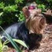 Binkie's profile picture