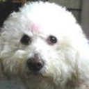 sunlori's profile picture