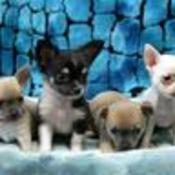 Momof3boyz's profile picture