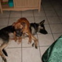 momykidd's profile picture