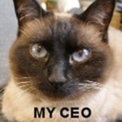 Truckersandy's profile picture