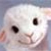 lamylouy's profile picture