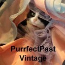 purrfectpast's profile picture