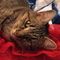 HeliotropeBouquet's profile picture