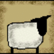 Cranberrycorner's profile picture